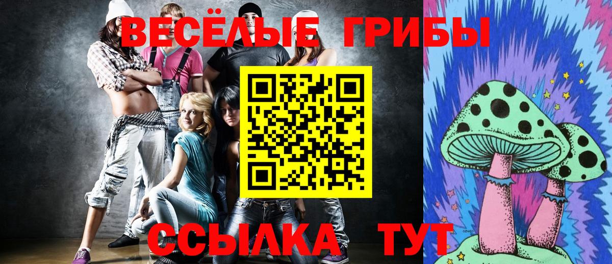 Южно-Сахалинск  Галлюциногенные грибы MAGIC MUSHROOMS  Вход с VPN 